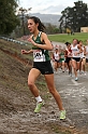 2010NCSXC GD1-1220